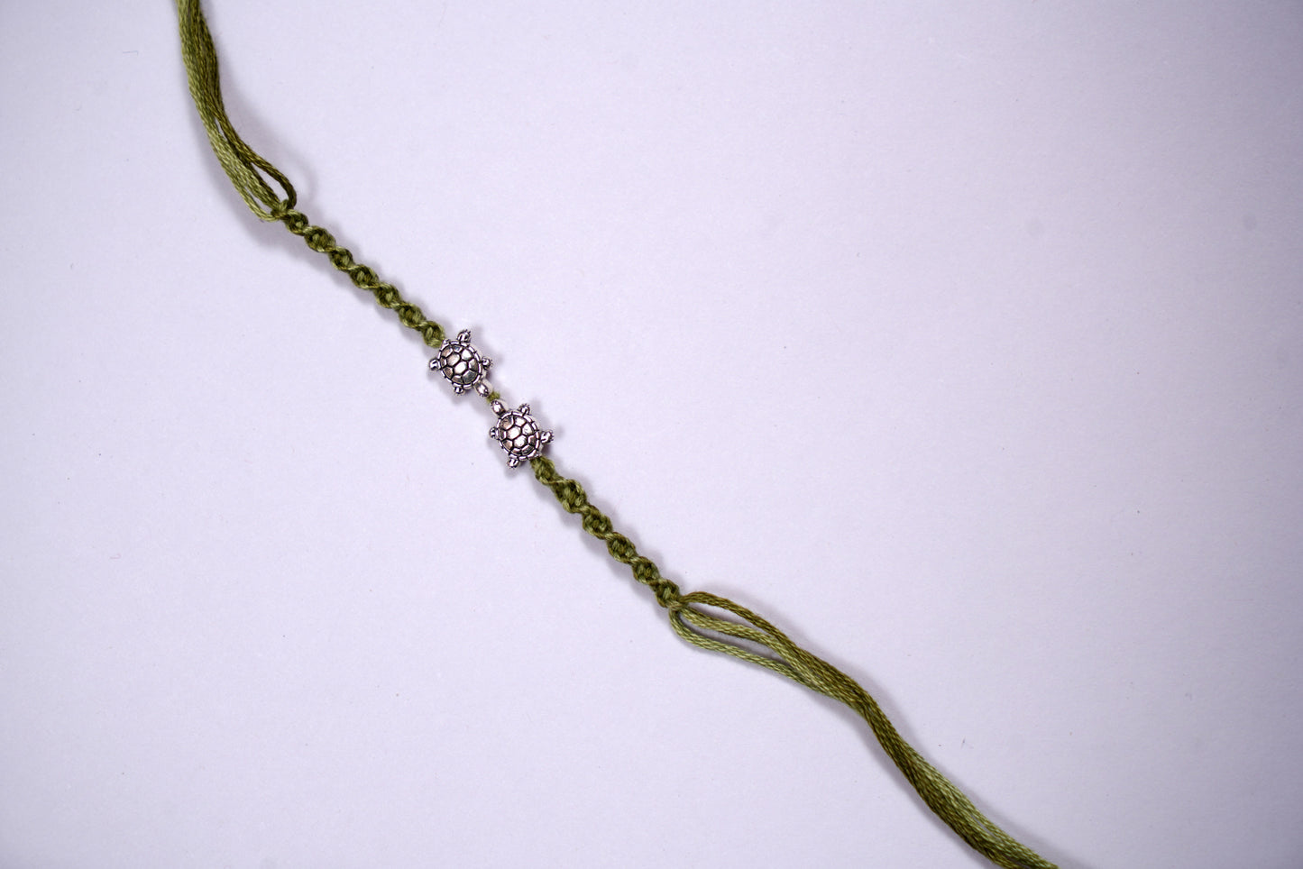 Twin Turtle Rakhi